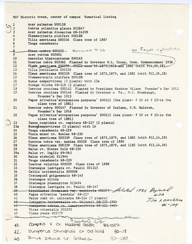 M07 McCabe Library-Historic Trees (Key)