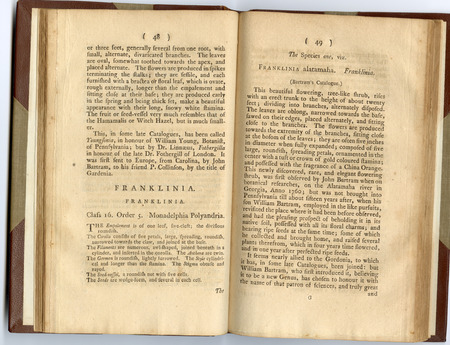 Humphrey Marshall Book: Franklinia Pt. 1