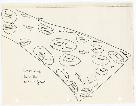 M10B-01 RG: NW outer bed, Rose I Southern End